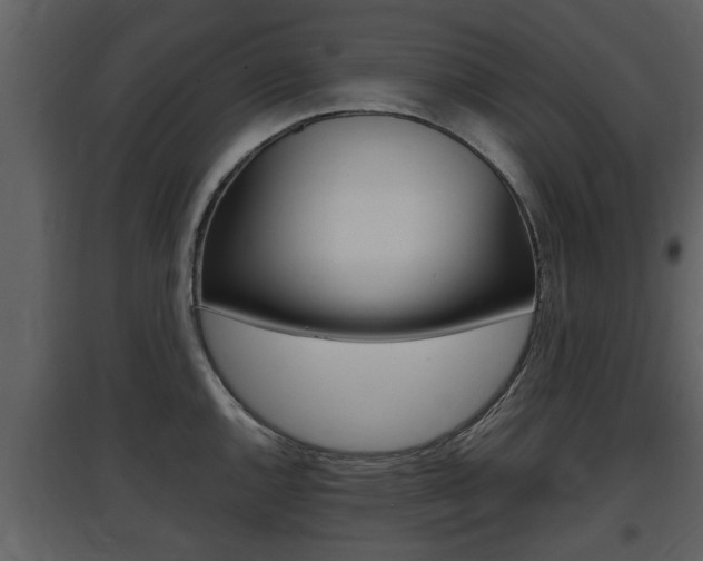 X0000097841144200803140829