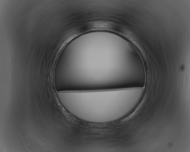 X0000097841145200803140829