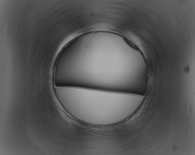 X0000097841146200803140829