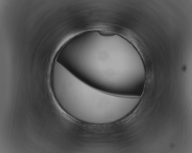 X0000097841147200803140829