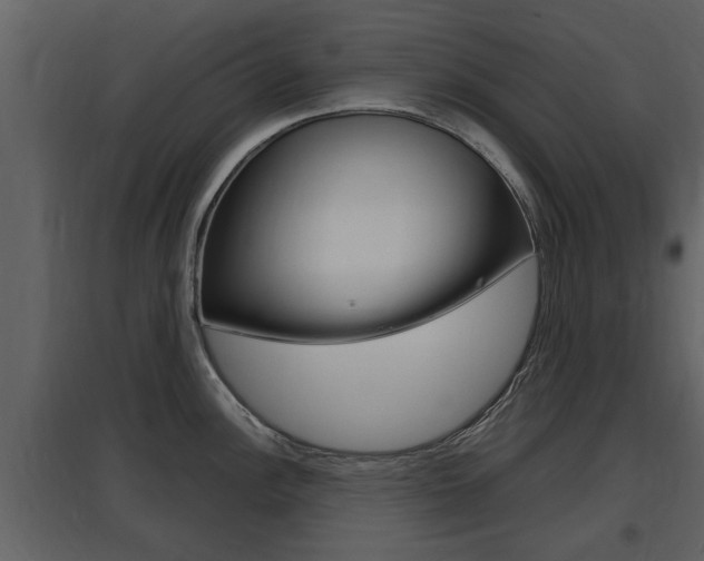 X0000097841148200803140829