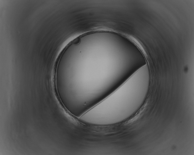 X0000097841149200803140829