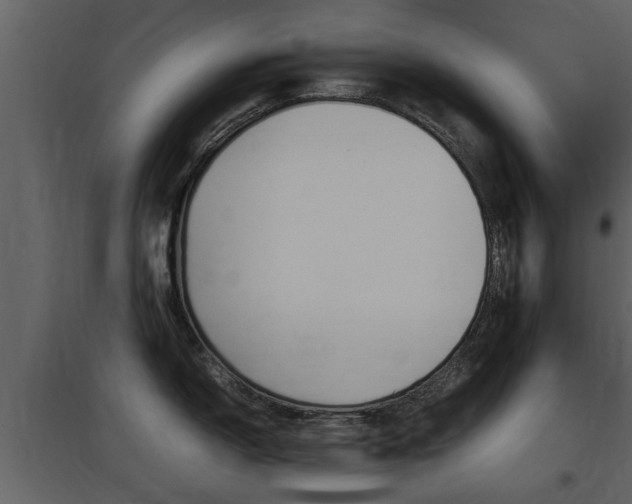 X0000097841150200803140829