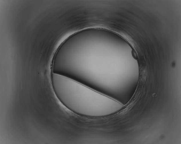 X0000097841151200803140829