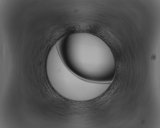 X0000097841153200803140828