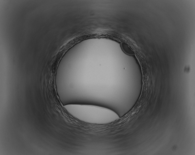X0000097841158200803140828