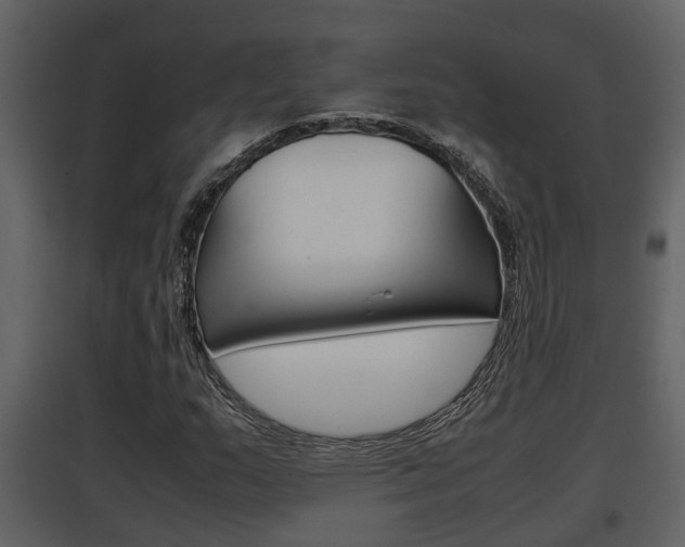 X0000097841159200803140828