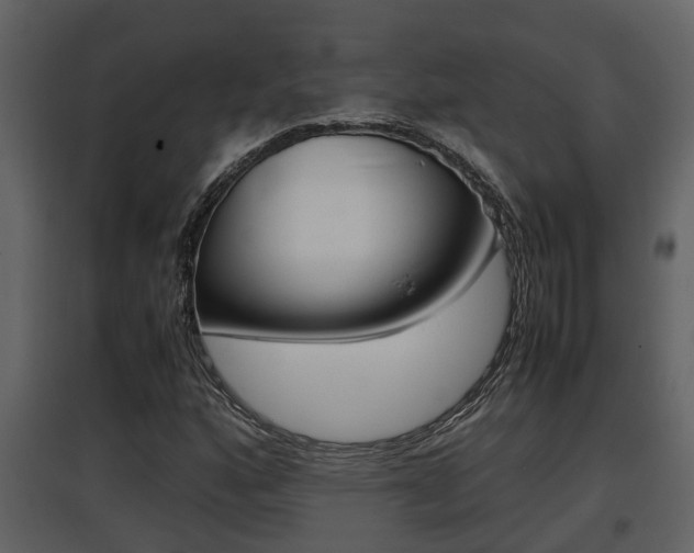 X0000097841160200803140828