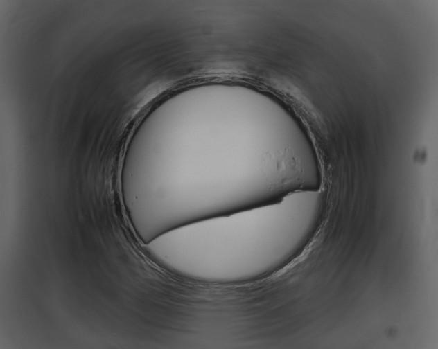 X0000097841162200803140828