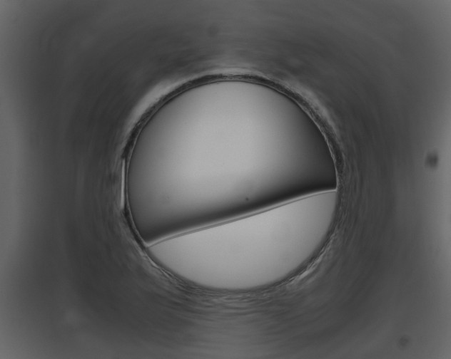 X0000097841175200803140828
