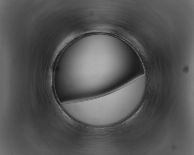 X0000097841180200803140828