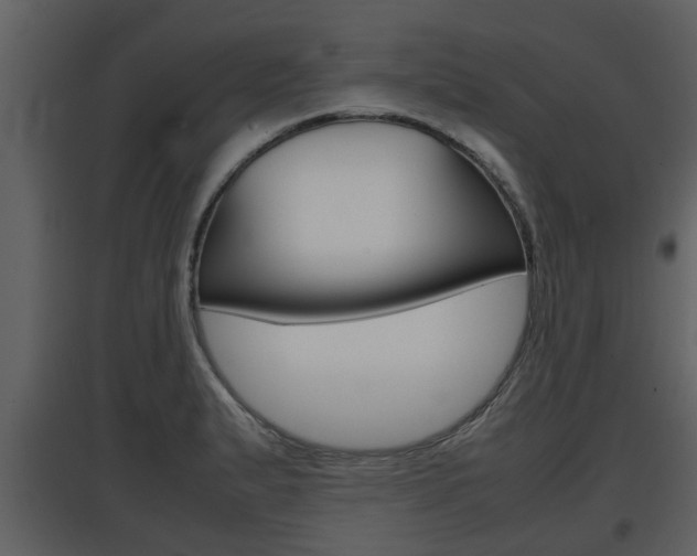 X0000097841183200803140828