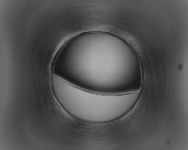 X0000097841184200803140828