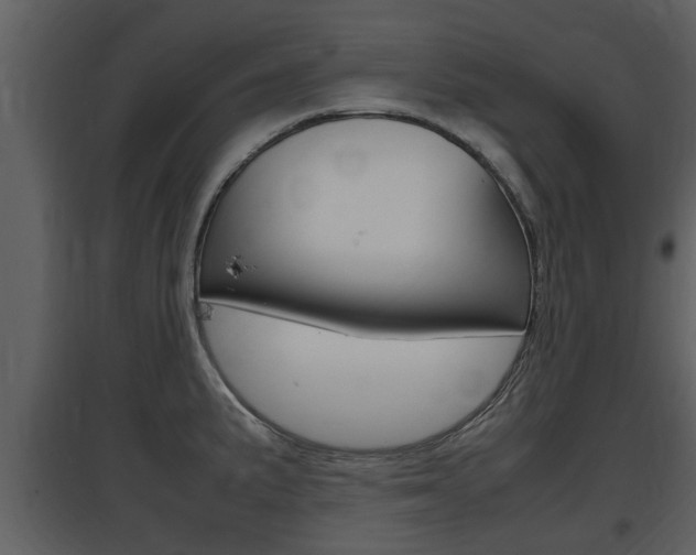 X0000097841191200803140828