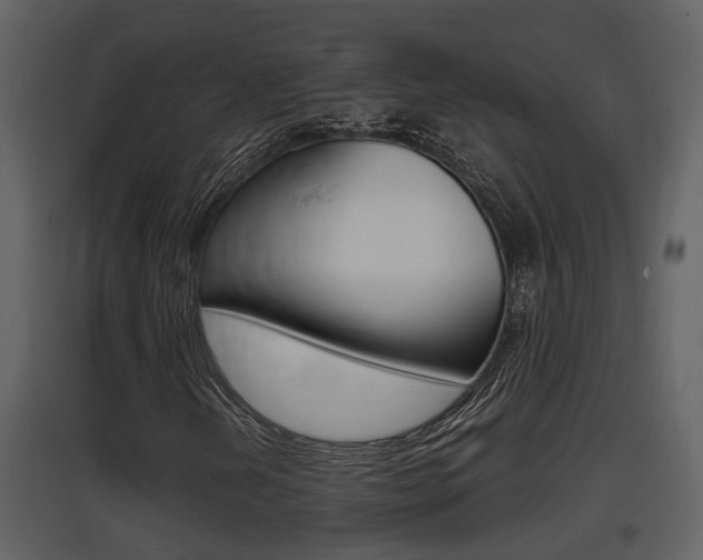 X0000097841202200803140827