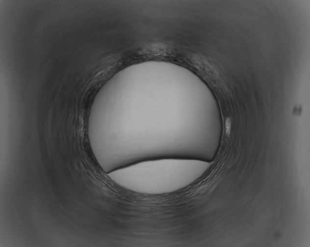 X0000097841203200803140827
