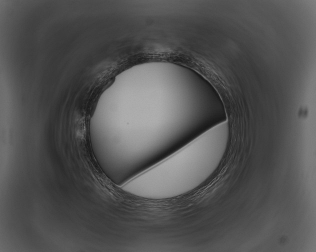 X0000097841204200803140827