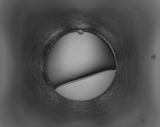X0000097841205200803140827