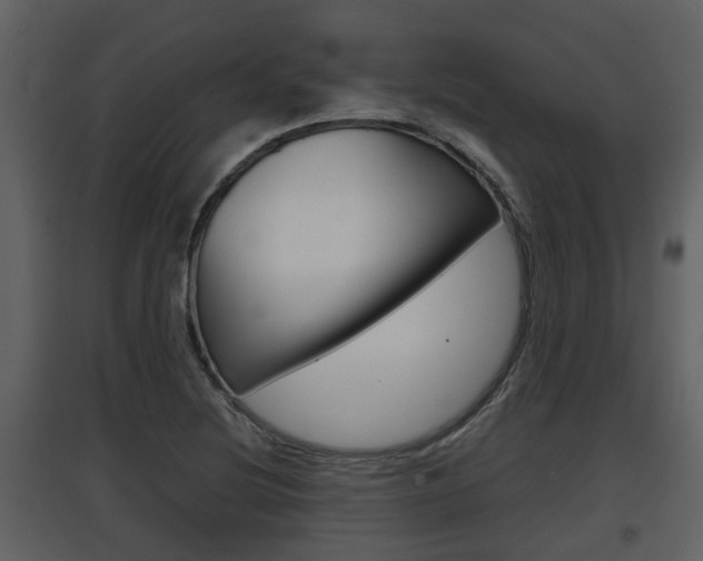 X0000097841220200803140827