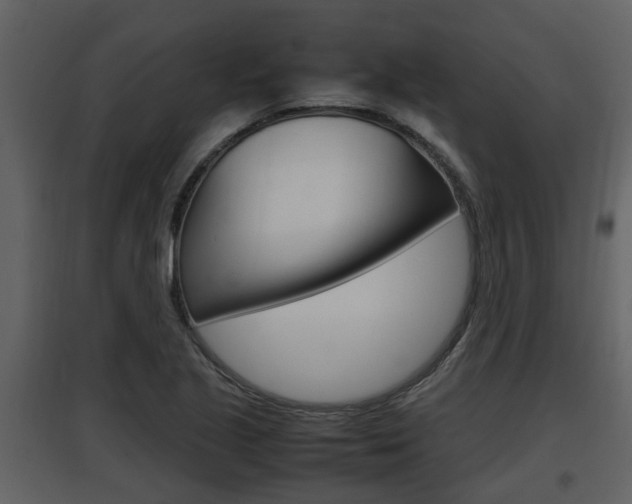 X0000097841221200803140827