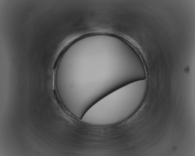 X0000097841223200803140827