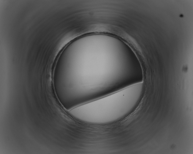 X0000097841226200803140827