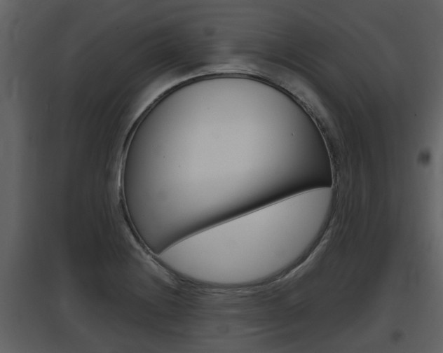 X0000097841228200803140827