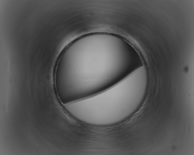 X0000097841230200803140827