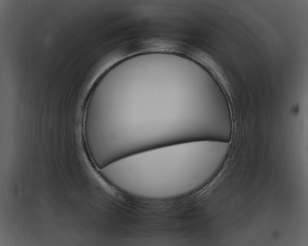 X0000097841235200803140828