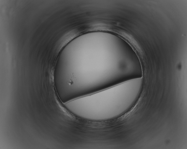 X0000097841241200803140828