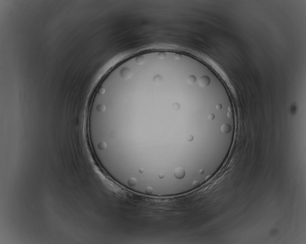 X0000097841245200803140828