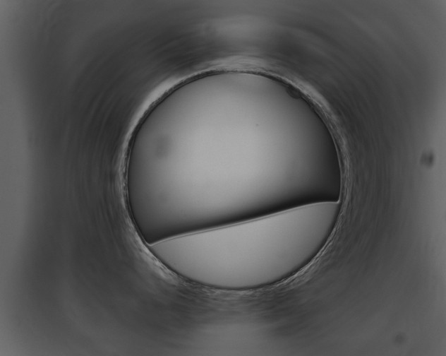X0000097841248200803140828