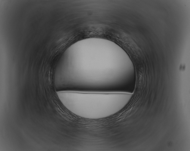 X0000097841250200803140827
