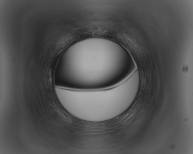 X0000097841252200803140827