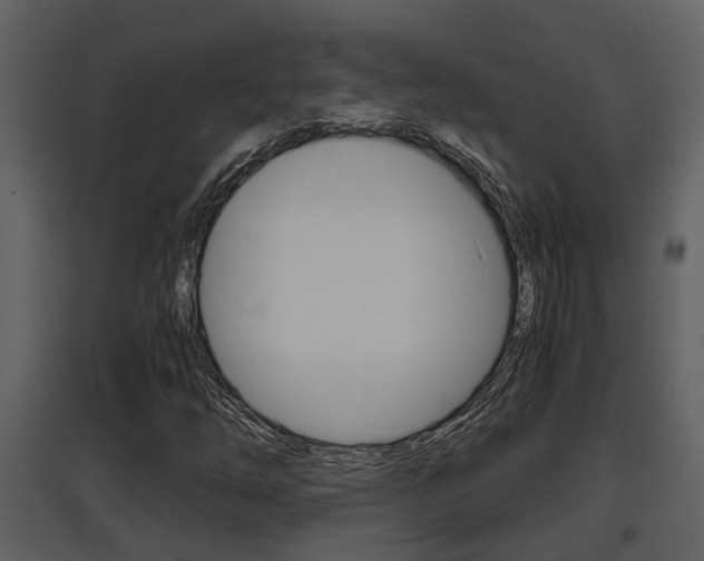 X0000097841254200803140827