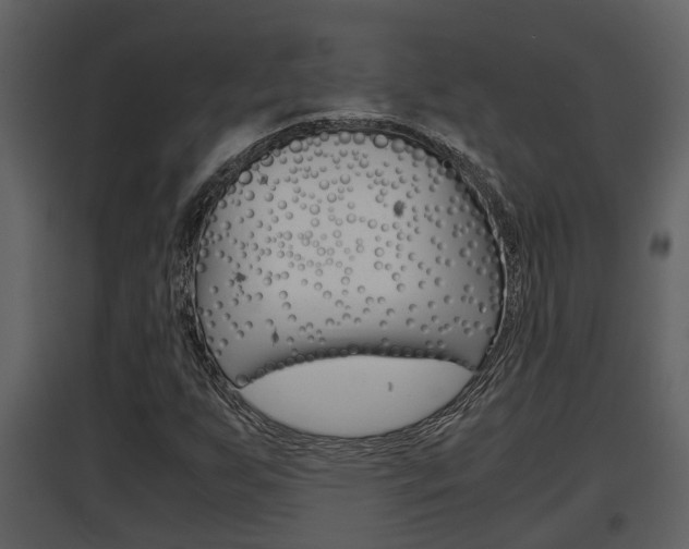 X0000097841255200803140827
