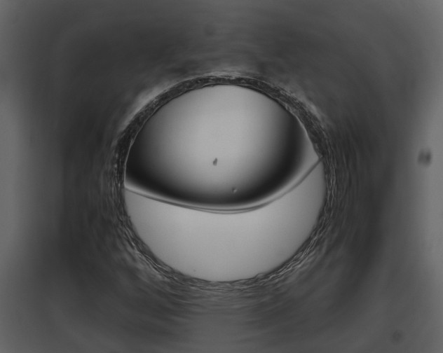 X0000097841256200803140827