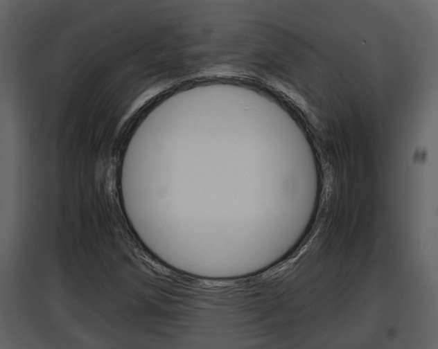 X0000097841258200803140827