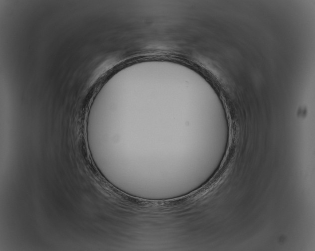 X0000097841259200803140827