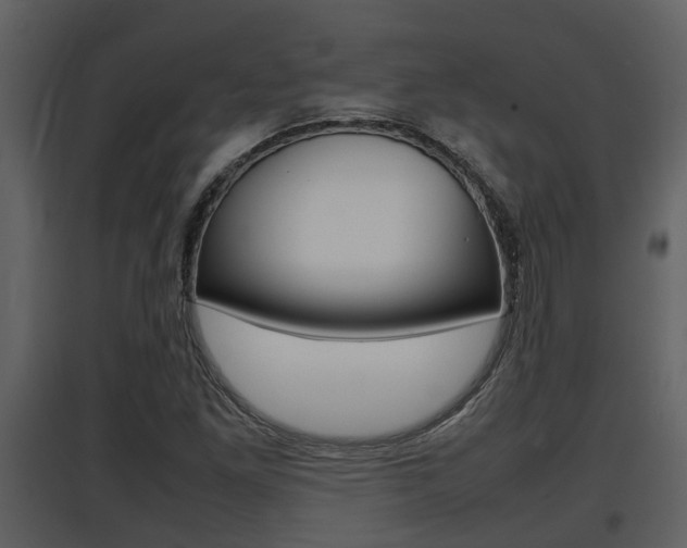 X0000097841261200803140827