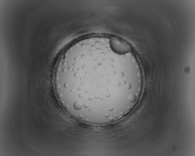X0000097841263200803140827