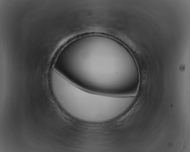 X0000097841264200803140827