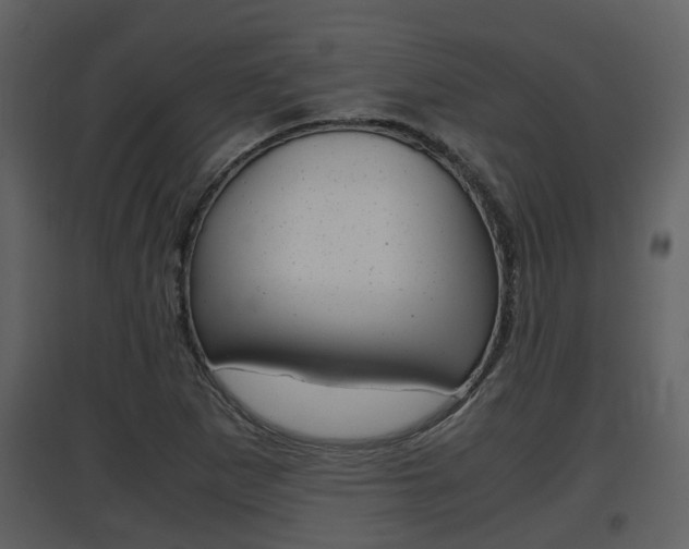 X0000097841265200803140827