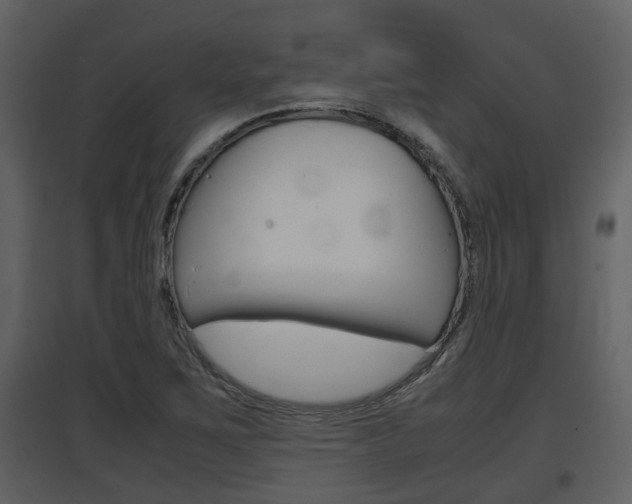 X0000097841267200803140827