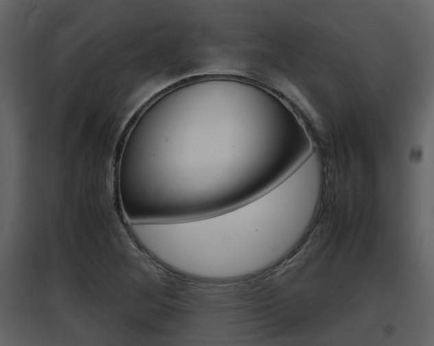 X0000097841268200803140827