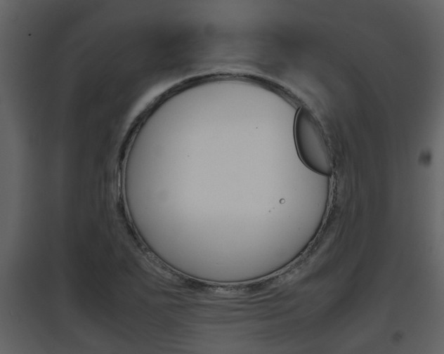 X0000097841271200803140827