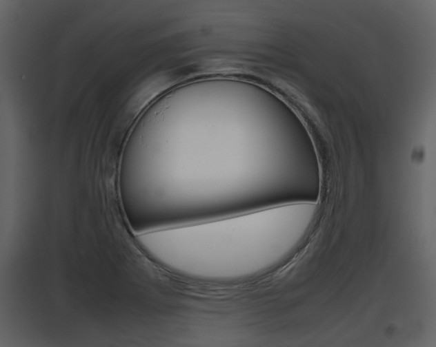 X0000097841273200803140827