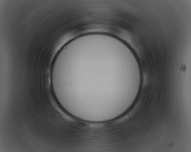 X0000097841274200803140827