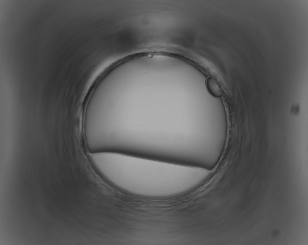 X0000097841275200803140827