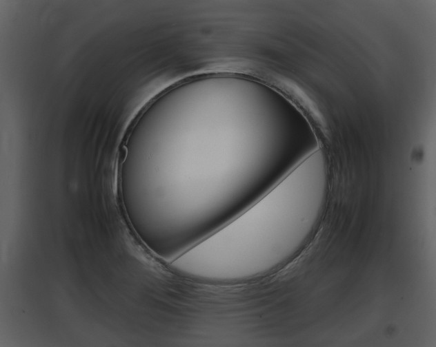 X0000097841276200803140827